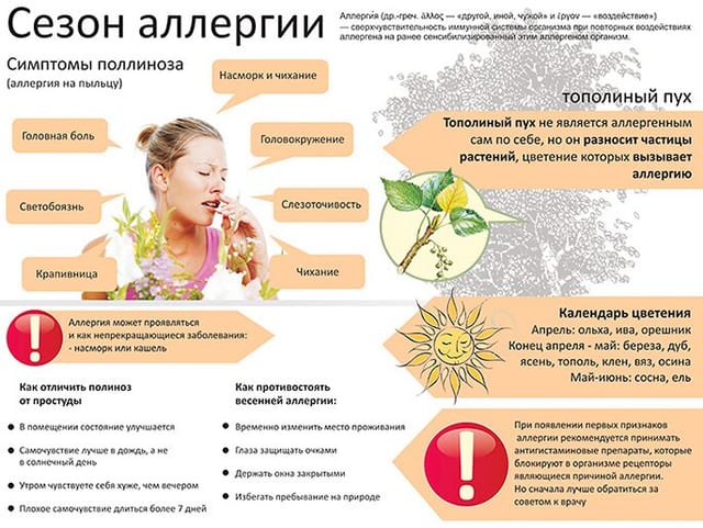 сезон аллергии